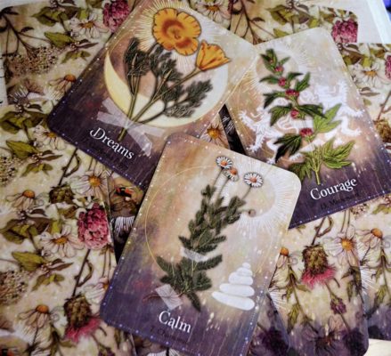 Herb Tarot Card Readings Dripping Springs Texas